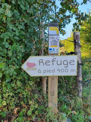 Balade du Chemin des Dames