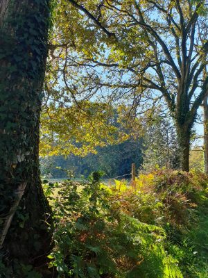 Variante du chemin dit du “Bardeau à la Loge”