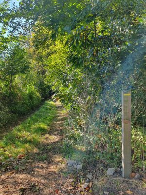 Variante du chemin dit du “Bardeau à la Loge”