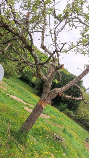 Aire de stationnement dans un camping à la ferme