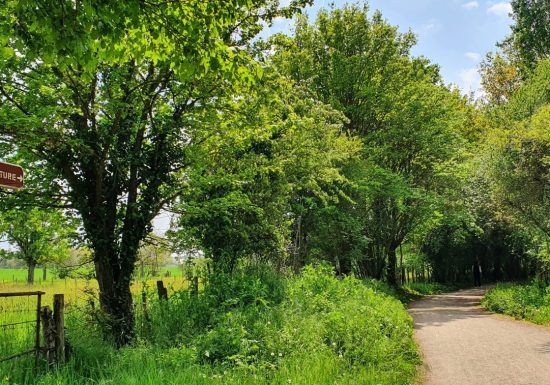 AUTOUR DU BOULEVARD NATURE : SARGÉ-LÈS-LE-MANS : AU COEUR DU BOCAGE