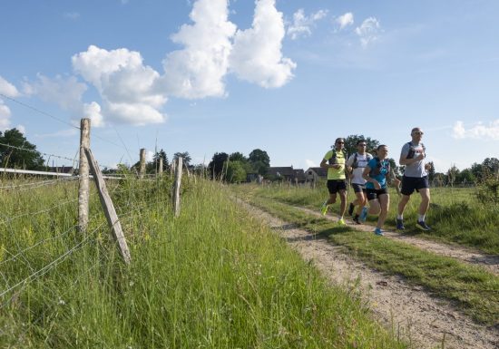 Trail sentier des cavaliers