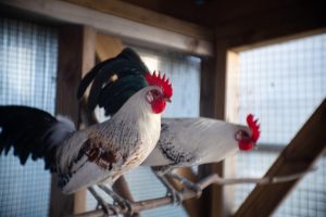 Gîtes et chambres d’hôtes Le jardin des quatre saisons