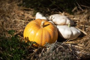 Gîtes et chambres d’hôtes Le jardin des quatre saisons