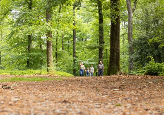 “Les 3 villages” (17km) and “Le Séquoia”(8km) hiking trails