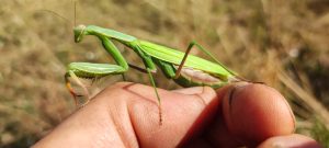 Aire de stationnement dans un camping à la ferme