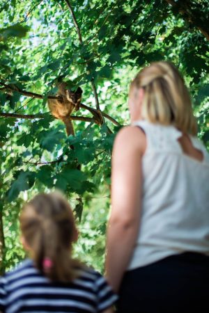 Domaine Zoologique de Pescheray