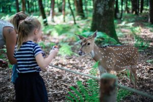 Domaine Zoologique de Pescheray