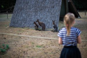 Domaine Zoologique de Pescheray