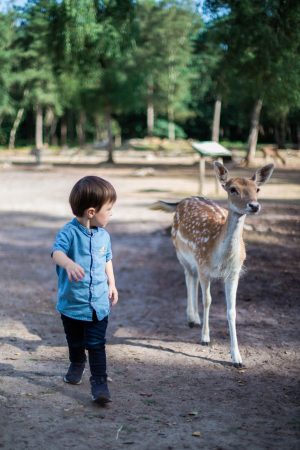 Domaine Zoologique de Pescheray