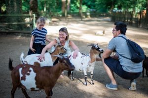 Domaine Zoologique de Pescheray