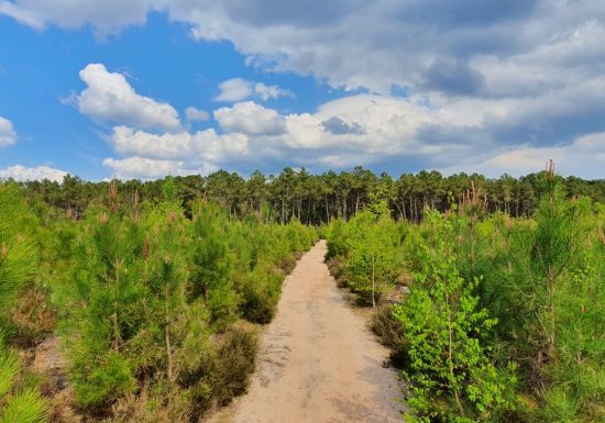 AUTOUR DU BOULEVARD NATURE : MULSANNE, LE CIRCUIT DU PETIT CHIEN