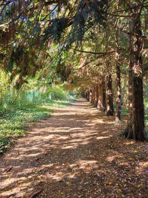 AUTOUR DU BOULEVARD NATURE : SAINT SATURNIN, LA ROUTE DU FER