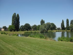 Parcours pêche au plan d’eau de la Rougeraie