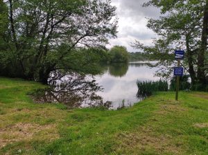 Parcours pêche au plan d’eau de la Rougeraie