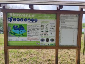 Parcours pêche au plan d’eau de la Rougeraie