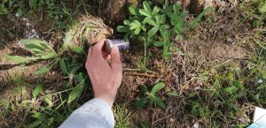 Géocaching “Sur les traces d’Aimé Touchard”